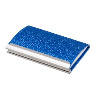 набор подарочный "fiole": ручка шариковая + визитница, синий LS.122009-02
